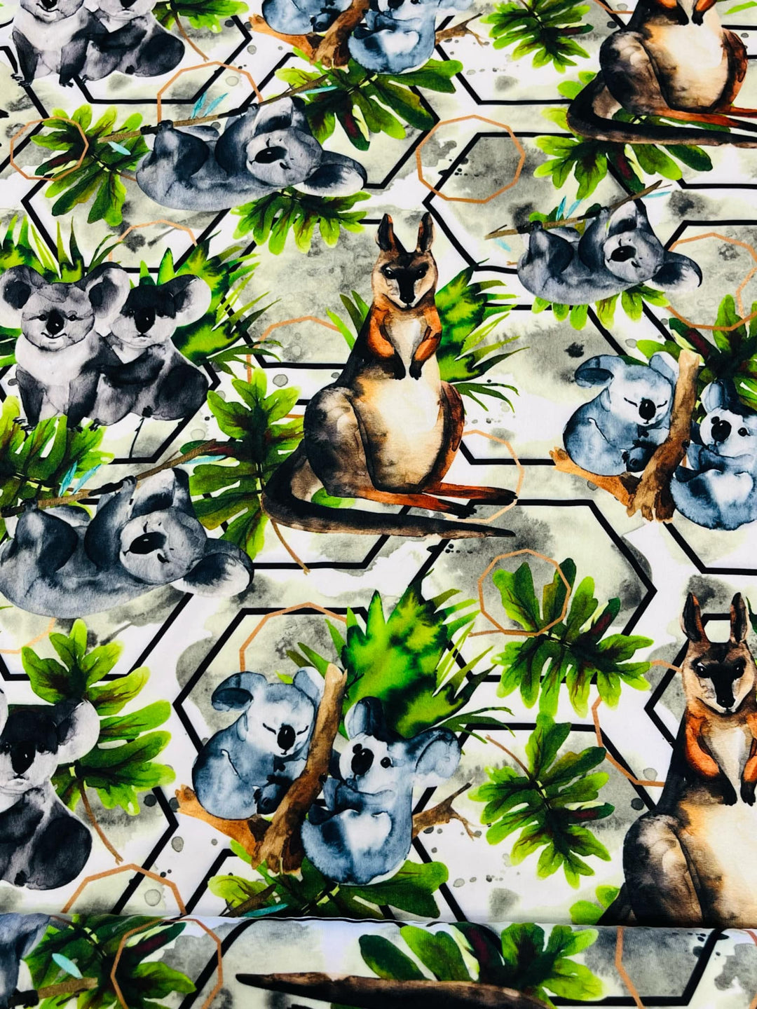 Koala et kangourou
