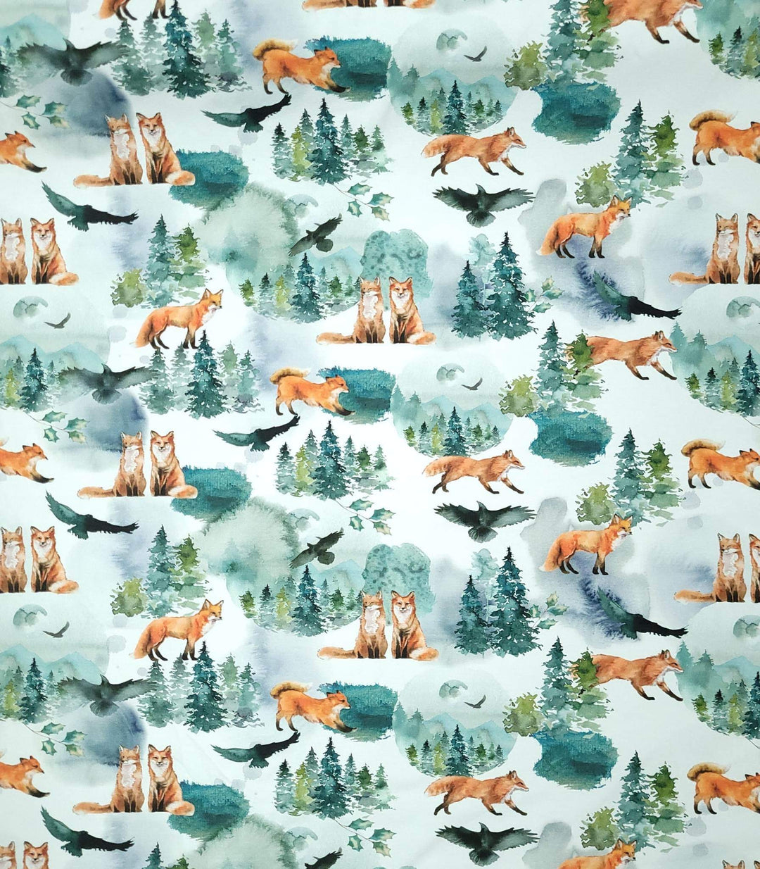 Renard & sapin