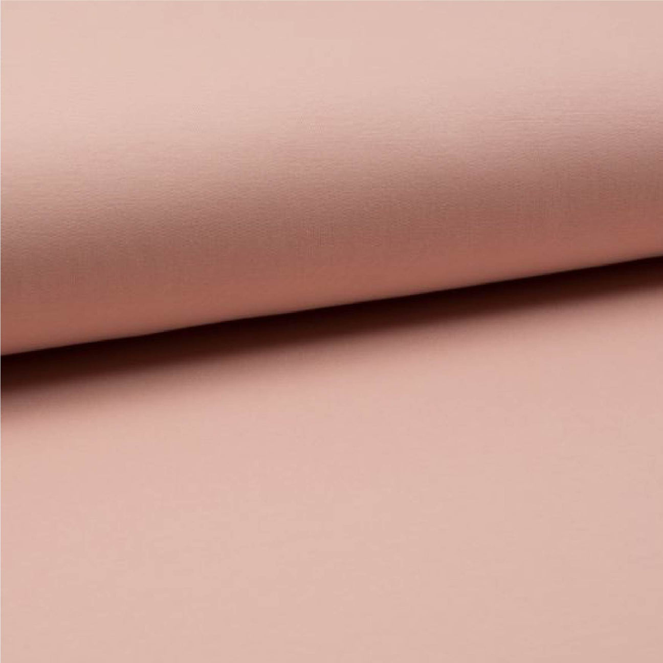 Rose poussières 04